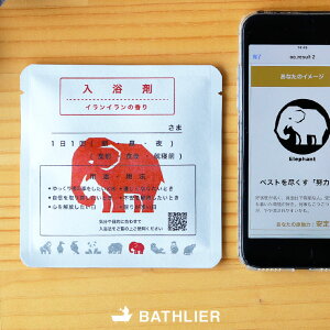 y[ցz܁u]ÊȂ̓܁vBATHLIERioXGjCff p[\i܁y { f CC̍ Mtg v[g   i` 