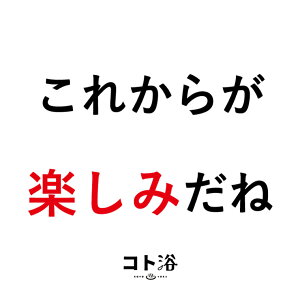 uRgvVЈɑm Rg^ꂩ낵 nif܁^40gjzCgy f ێ v`Mtg Mtg  E oXObY  j  ӃMtg 