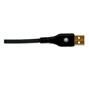Planet Waves USBP[u PW-USB-10 (10ft/3.0m USB) d݌ɕi
