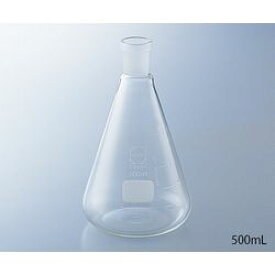 SCHOTT/DURAN NS共通摺合三角フラスコ　300mL (1個)(241933907) 目安在庫=○