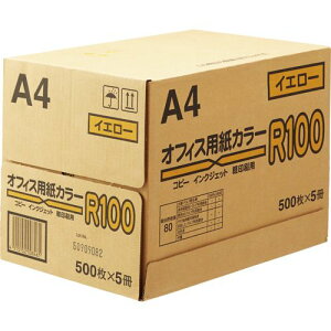 {ʏ ItBXpJ[R100 A4 CG[ 1(2500:500×5)(40A0993-A4) ڈ݌=