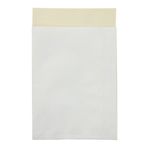 LOR[|[V |XgC`O 100g/m2 ЉN 1P[X(100)(190421) ڈ݌=