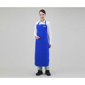 hGv  (1)(FAP-201) ڈ݌=