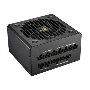 COUGAR GEX PRO 850(CGR GEXP-850) �ڈ��݌�=��