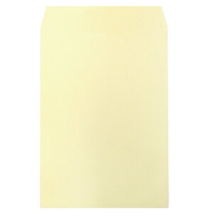 n[g ȂJ[ p2 PN[ 100g/m2 g 1pbN(100)(XEP493) ڈ݌=