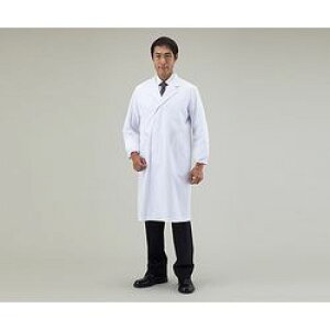 AY AY{߁@VO(jp)@3L (1)(AL-MS) ڈ݌=