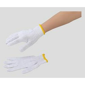 AY ȁ@R@t[TCY@12o (1(12o))(600) ڈ݌=