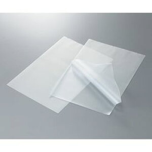 AYsAiAYj AYsAESDNA~l[gtB A3 100 (1(100)) ڈ݌=