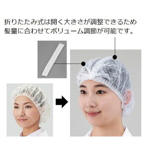 fBX|Lbv ܂肽݃^Cv 100 AZECP-100 (1(100))(2-7364-11) ڈ݌=