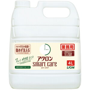 CI LION AN X}[gPA Ɩp 4L 1{(WSESGG4) ڈ݌=