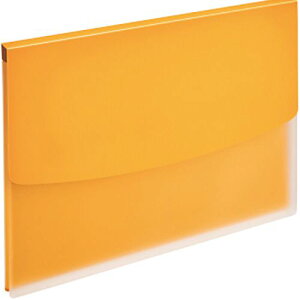 CI LION z_[t@C(rWJ) t^t A4R w16mm CG[ 1(PH-12BF CG-) ڈ݌=