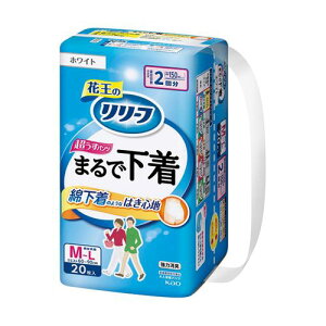 ԉikaoj [t pc^Cv ܂ŉ 2 M 20 ڈ݌=