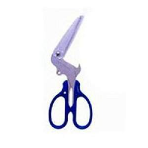 TX^[ \ʂ͂(S3716317) ڈ݌=