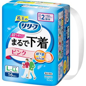 ԉikaoj [t pc^Cv ܂ŉ 2 sN L 16 ڈ݌=