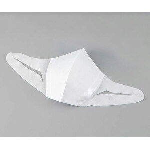 jE`[ ̃}XN T[WJ^CvE傫 (1(50)) ڈ݌=