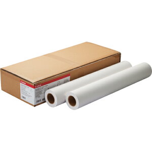 �L���m�� CANON �L���m�� LFM-PPS2/A0/64 �X�^���_�[�h���ʎ�2(8738B004) �ڈ��݌�=��