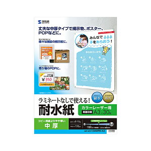 TTvC SANWA SUPPLY LBP-WPF15MDPN-A3 J[[U[p ϐE A3TCY [J[݌ɕi