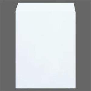 t ĐPg p3 100g/m2 gȂ zCg ƖppbN 1(500)(677-60) ڈ݌=