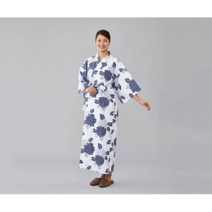 IITLfBJ K[[Q pM (1)(8-6551-02) ڈ݌=