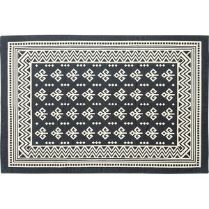 J O Rbgfނ̃VvȖkfUC}bg(TTR-163B) [J[݌ɕi