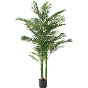 J tFCNO[ AJV(GRN-19) [J[݌ɕi