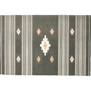 J O Rbgfނ̃VvȖkfUC}bg(TTR-163A) [J[݌ɕi