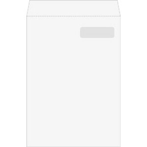 BSLVXe FK-23A5 򒥎[(A5)p(50)(FK-23A5-050) ڈ݌=