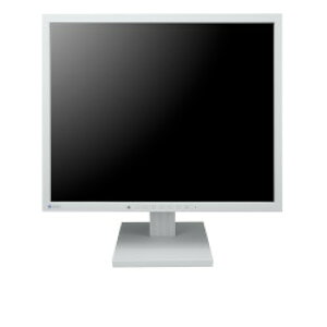 EIZO FlexScan S1934-TGY �Z���[���O���C �ڈ��݌�=��