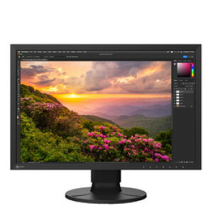 EIZO ColorEdge CS2400S-BK ڈ݌=