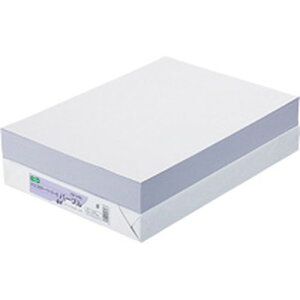 TPS GRJ[y[p[II B4 p[v 1(500)(AEC-PUB4B) ڈ݌=