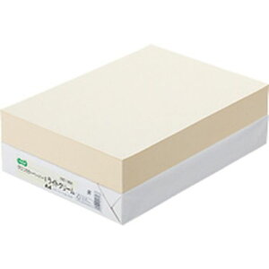 TPS GRJ[y[p[II A4 CgN[ 1(500)(AEC-LCA4B) ڈ݌=