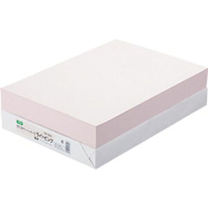 TPS GRJ[y[p[II B4 CgsN 1(500)(AEC-LPB4B) ڈ݌=