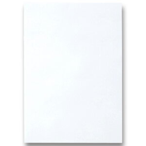TPS Fp l 䂫 1pbN(10)(CDP4-A49) ڈ݌=