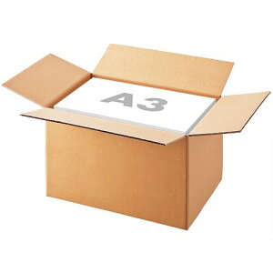 TPS n_{[ A3Ή At[g 295mm 1pbN(10)(4580128340869) ڈ݌=