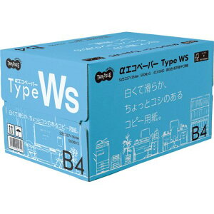 TPS GRy[p[ ^CvWS B4 1(2500:500×5)(AEWS-B4) ڈ݌=