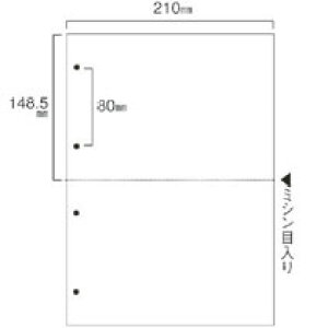 TPS X}CpLBPp A4ėp 2 4 1Zbg(1000:500x2)(4985287535543 x2) ڈ݌=