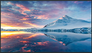 �p�i�\�j�b�N Panasonic 55�^4K�t���G���g���[�f�B�X�v���C(TH-55FQ1J) �ڈ��݌�=��