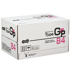 TPS ���G�R�y�[�p�[ �^�C�vGP B4 1��(2500��:500��×5��)(AEGP-B4) �ڈ��݌�=��