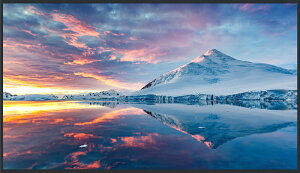 �p�i�\�j�b�N Panasonic 43�^4K�t���G���g���[�f�B�X�v���C(TH-43FQ1J) �ڈ��݌�=��