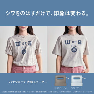 �p�i�\�j�b�N(�Ɠd) Panasonic �ߗރX�`�[�}�[�i���J�O���[�W���j(NI-FS60C-H) �ڈ��݌�=��
