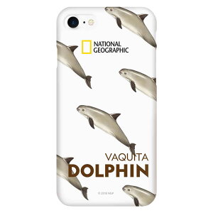 National Geographic 2020 iPhone SE/8/7 Dolphin Series Case Slim Fit Hard 2(NG13010i8) �d����݌ɕi
