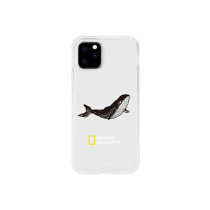 National Geographic iPhone 11 Pro INTO THE WILD Jelly Hard Case �z�G�[��(NG17126i58R) �d����݌ɕi