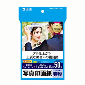 サンワサプライ SANWA SUPPLY インクジェット写真印画紙・絹目(JP-EP4N2LN) メーカー在庫品