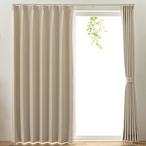 ���j�x�[�� �h���[�v�J�[�e�� �X�e�C�V�[ ��1000×����1780mm �A�C�{���[ 1�p�b�N(2��)(�X�e�C�V-_IV_100X178) �ڈ��݌�=��