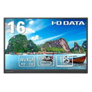 �A�C�E�I�[�E�f�[�^�@�� �L�F��&WUXGA�Ή�16�^�f�B�X�v���C(LCD-YC163DX) �ڈ��݌�=��