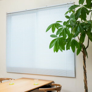 uCh A~ J[e[t A~uCh TCY Ռ  180cm 200cm Xbg25mm ^ zCg ubN ډB  i