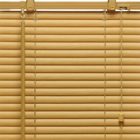 ブラインド プラスチックブラインド 横型 カーテンレール取付可 ブラインドカーテン 既製サイズ 幅60cm 高さ100cm スラット幅25mm PVCブラインド 木目 ホワイト ダーク ブラウン グリーン 賃貸 調光 採光 簡単取付 SNS映え イージーブラインド