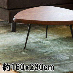 ���O ���O�}�b�g ��2.5�� 160x230cm �O���[�� ��D��(��@) �O�~ ���B�X�R�[�X FADE STRIPE ���_�� ���B���e�[�W�� �������@�C���h ���� �y���z �H�~