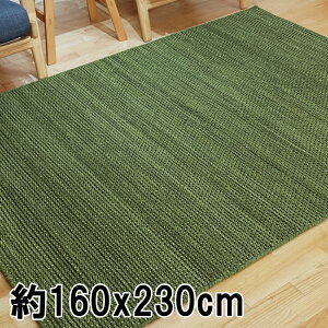 ���O ���O�}�b�g ��2.5�� 160x230cm �Z�[�W ���D��(��@) �O�~ �E�[�� VELINO �������@�C���h