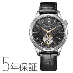 CITIZEN COLLECTION V`YRNV JjJ @Bv I[vn[g NH9131-14E Y rv  芪 